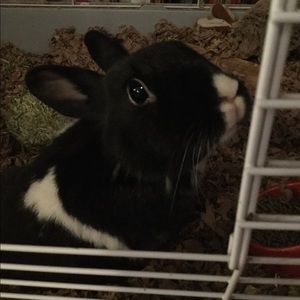 Meet your Posher, Holly